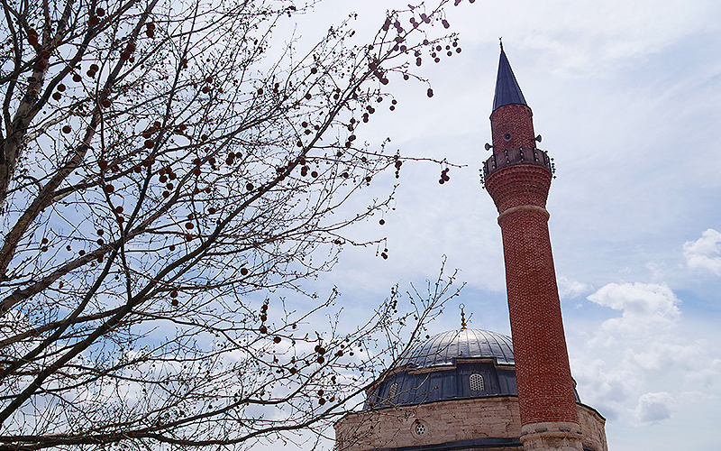 Kale Cami Resim